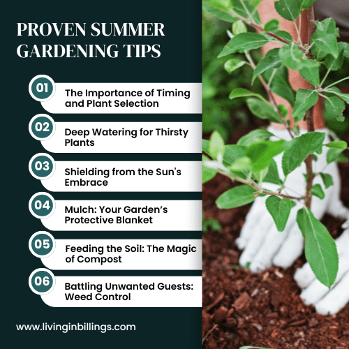 summer gardening tips